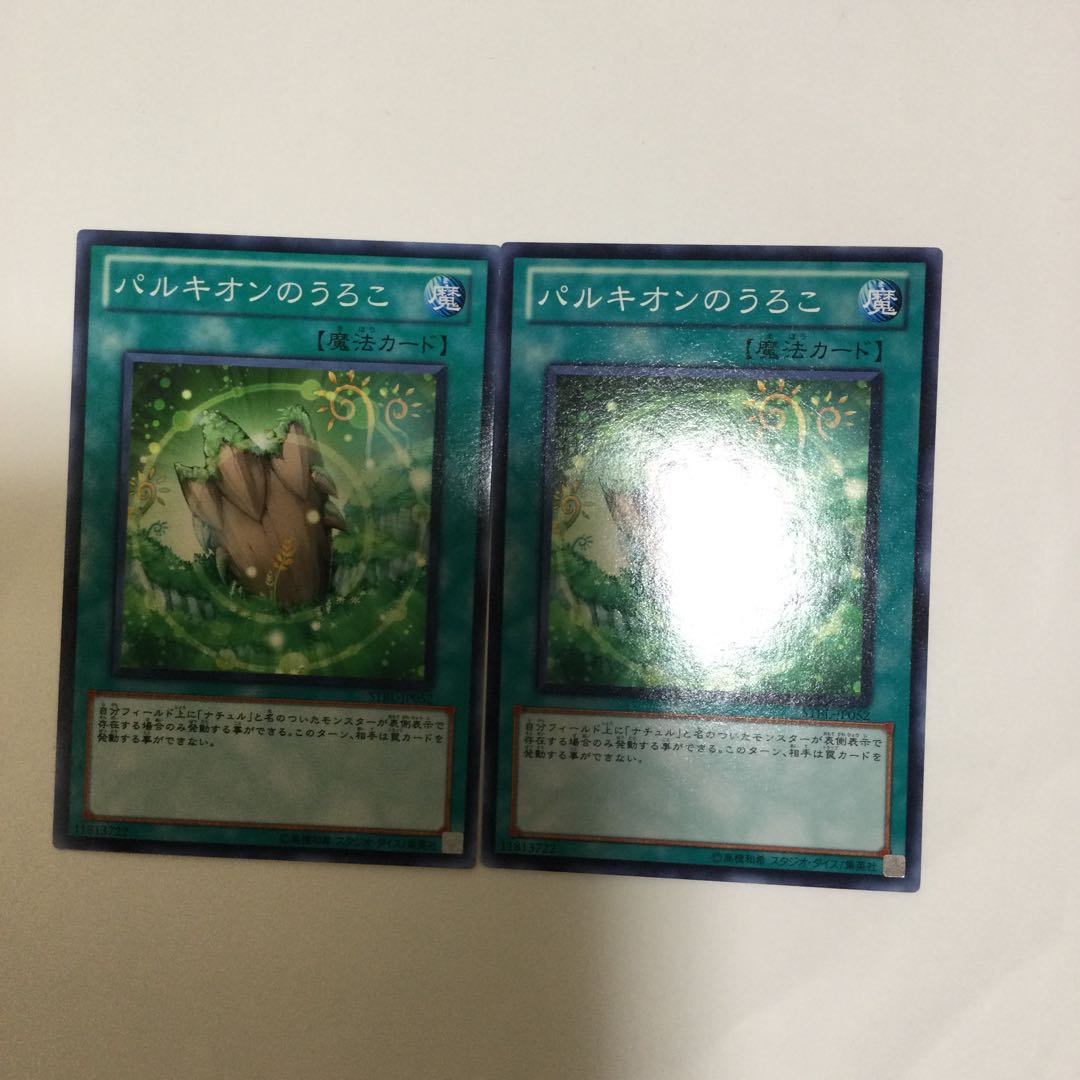 パルキオンのうろこ 2枚