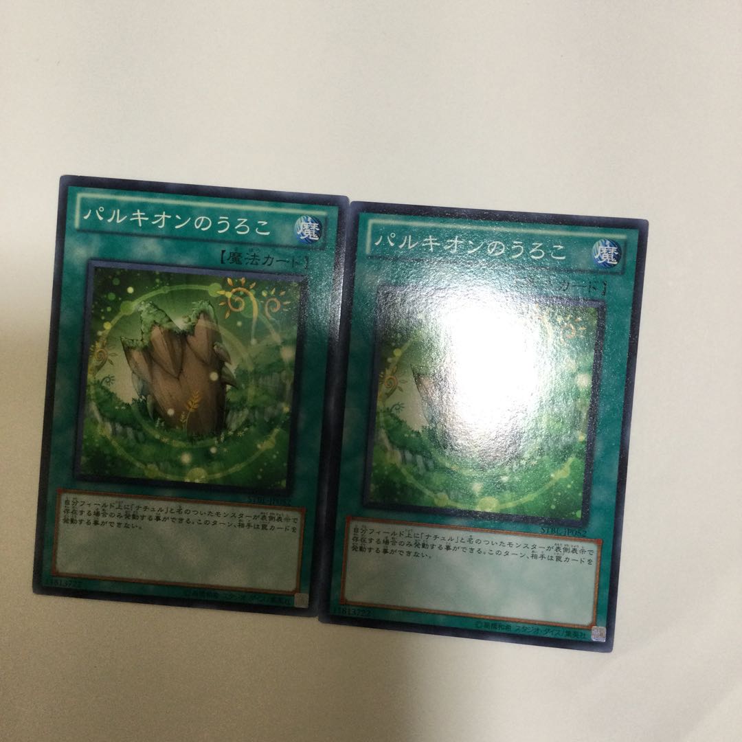 パルキオンのうろこ 2枚