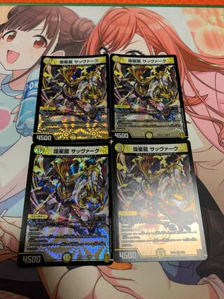 煌星龍 サッヴァーク