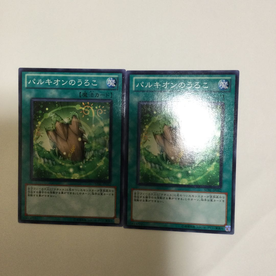 パルキオンのうろこ 2枚