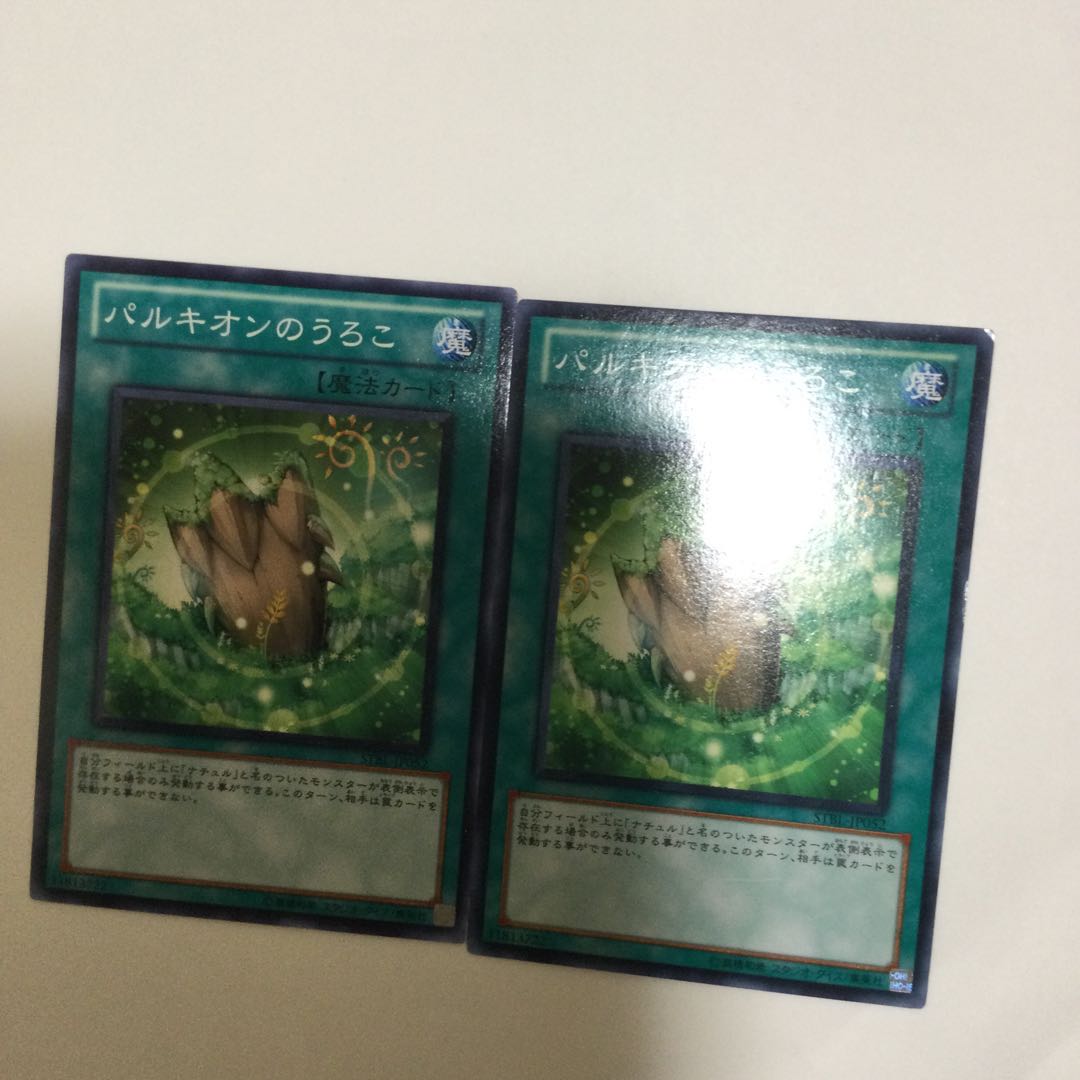 パルキオンのうろこ 2枚