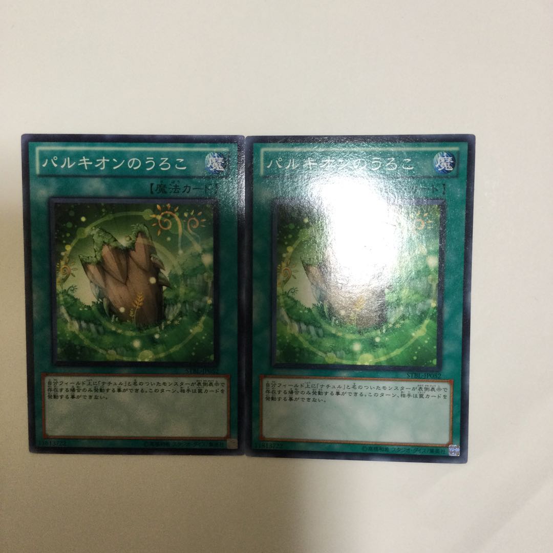 パルキオンのうろこ 2枚