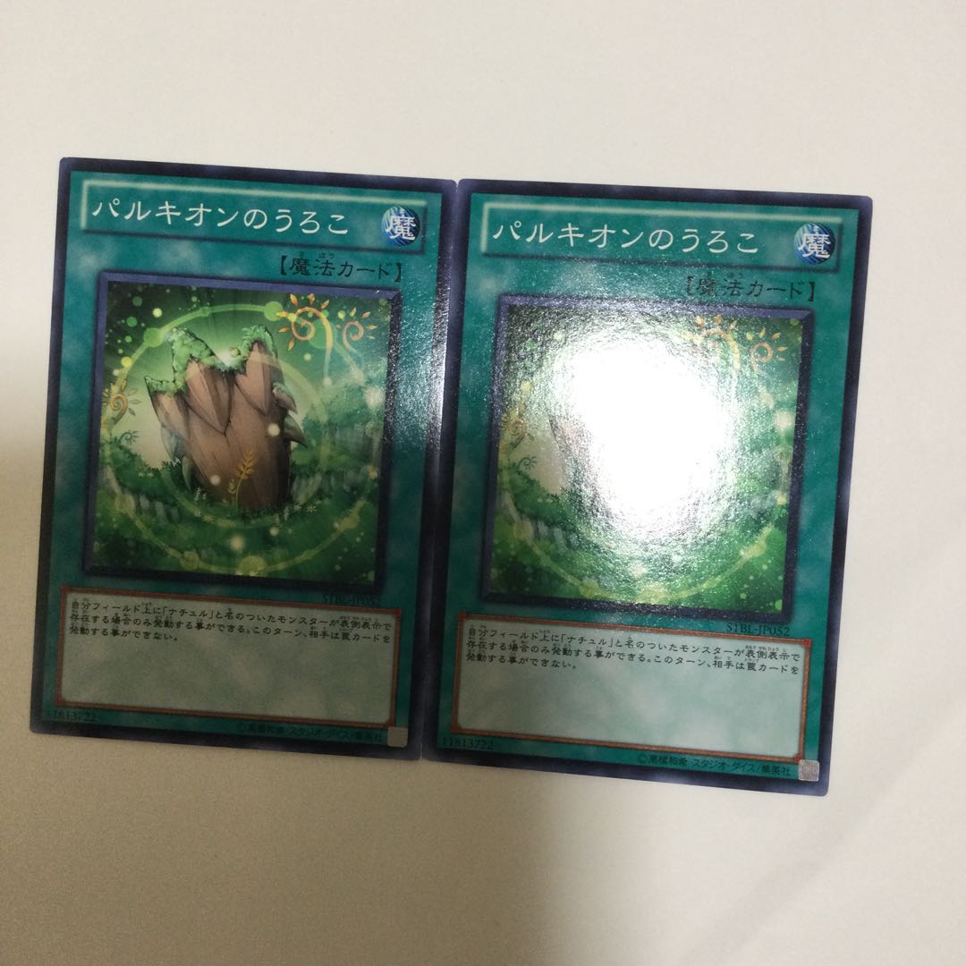 パルキオンのうろこ 2枚