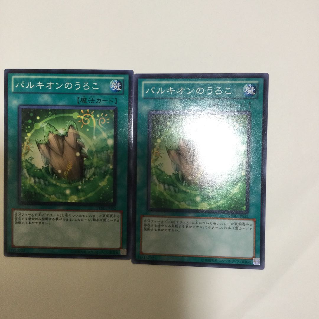 パルキオンのうろこ 2枚