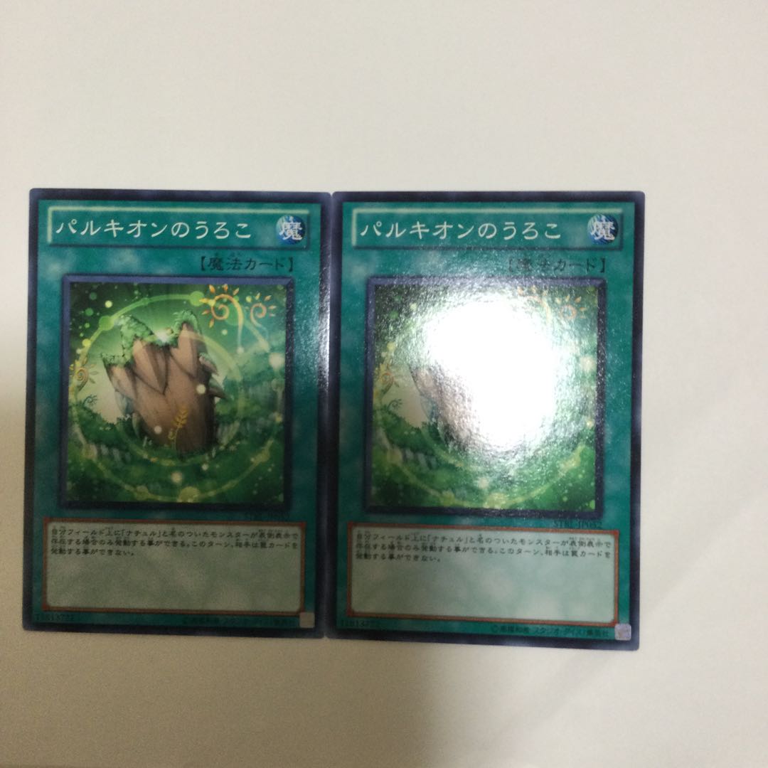 パルキオンのうろこ 2枚