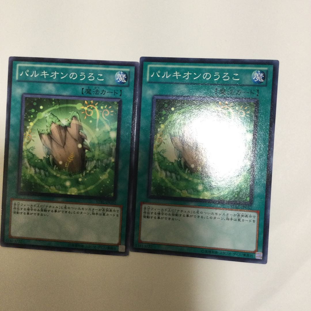 パルキオンのうろこ 2枚