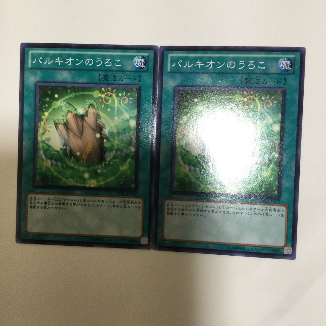 パルキオンのうろこ　２枚