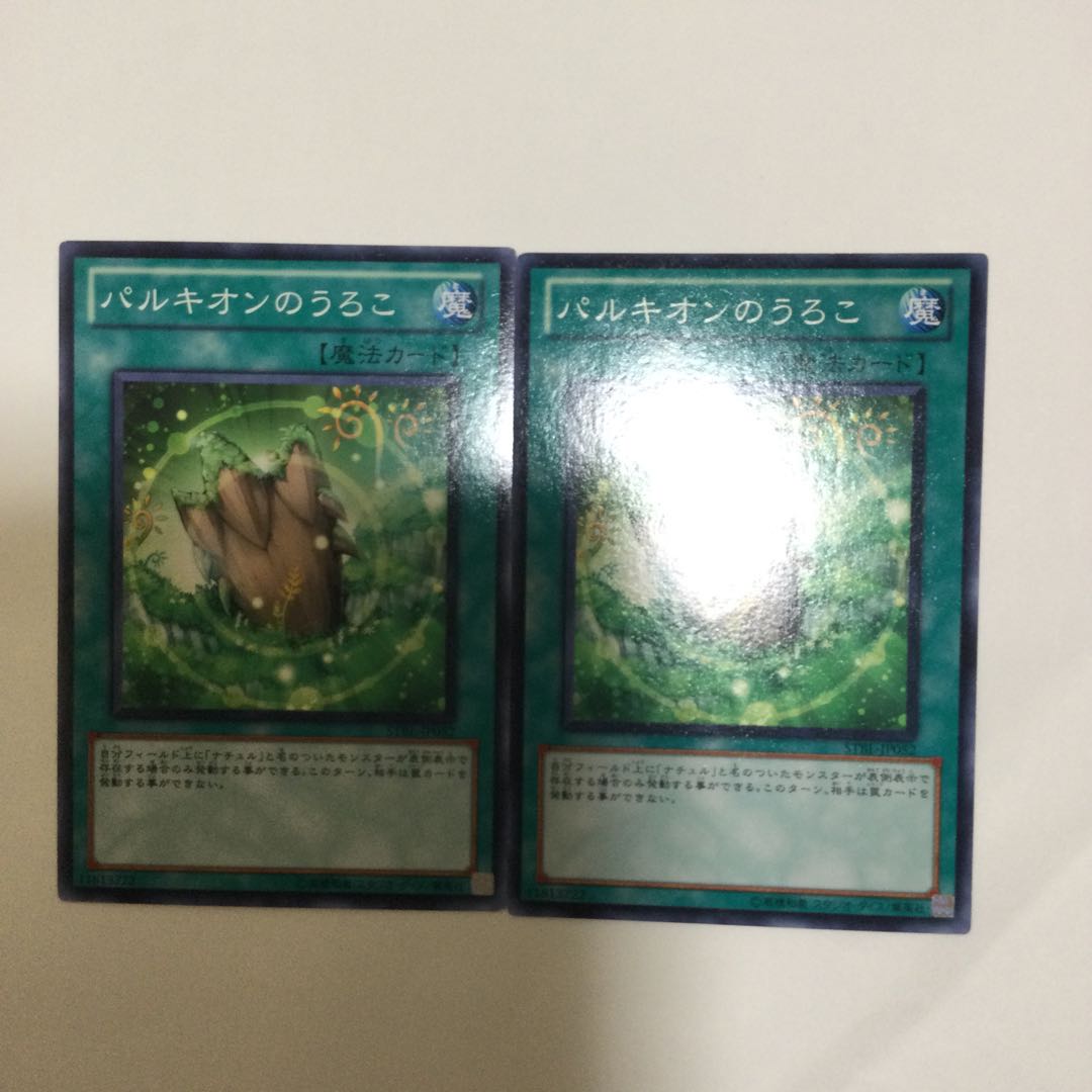 パルキオンのうろこ 2枚