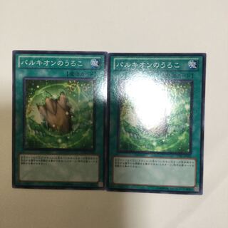 パルキオンのうろこ　２枚