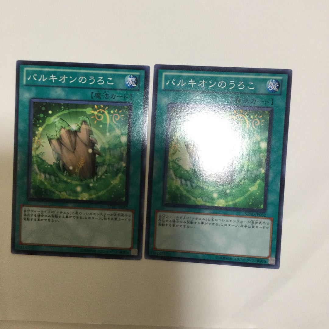 パルキオンのうろこ 2枚