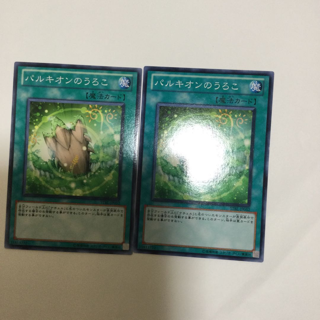 パルキオンのうろこ 2枚