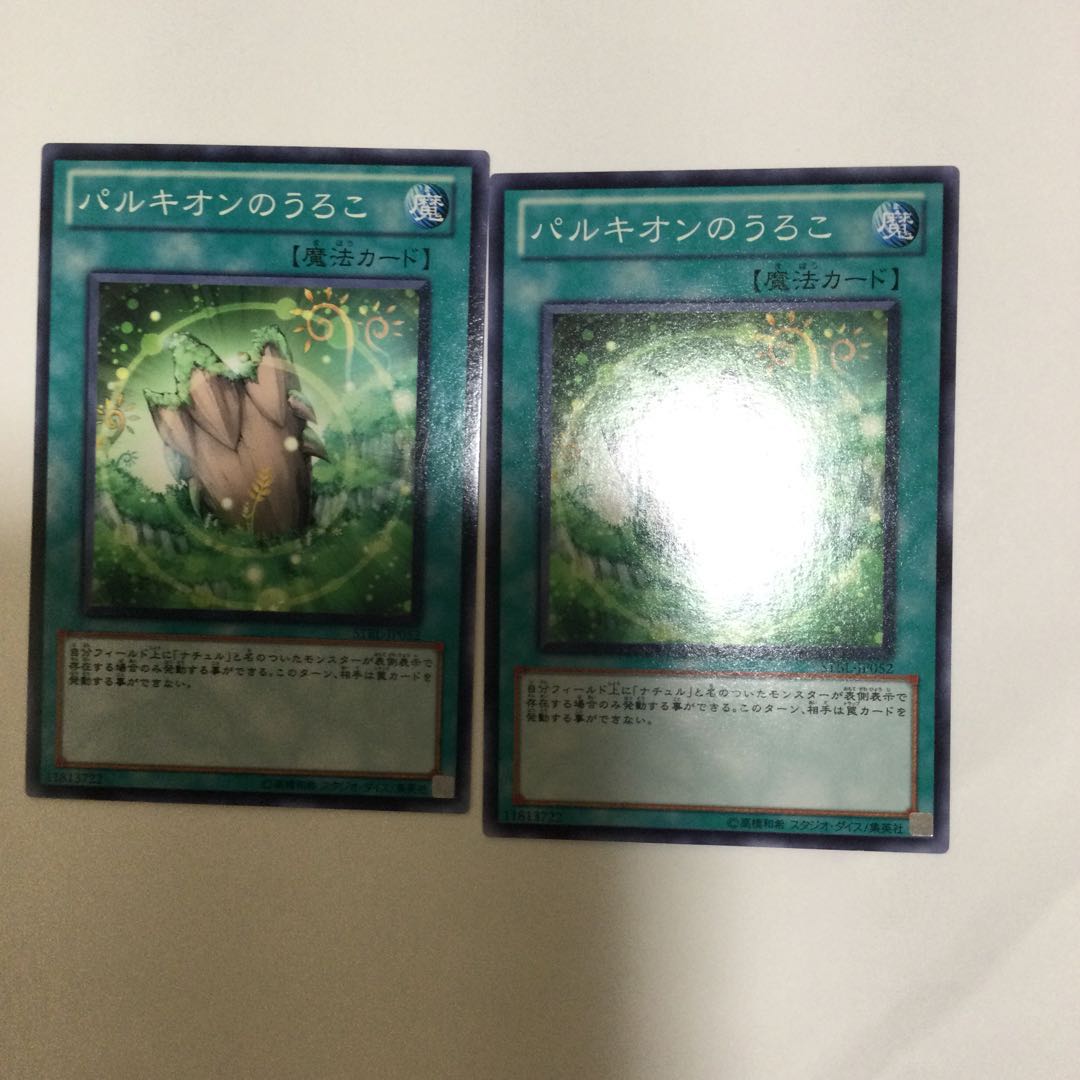 パルキオンのうろこ 2枚