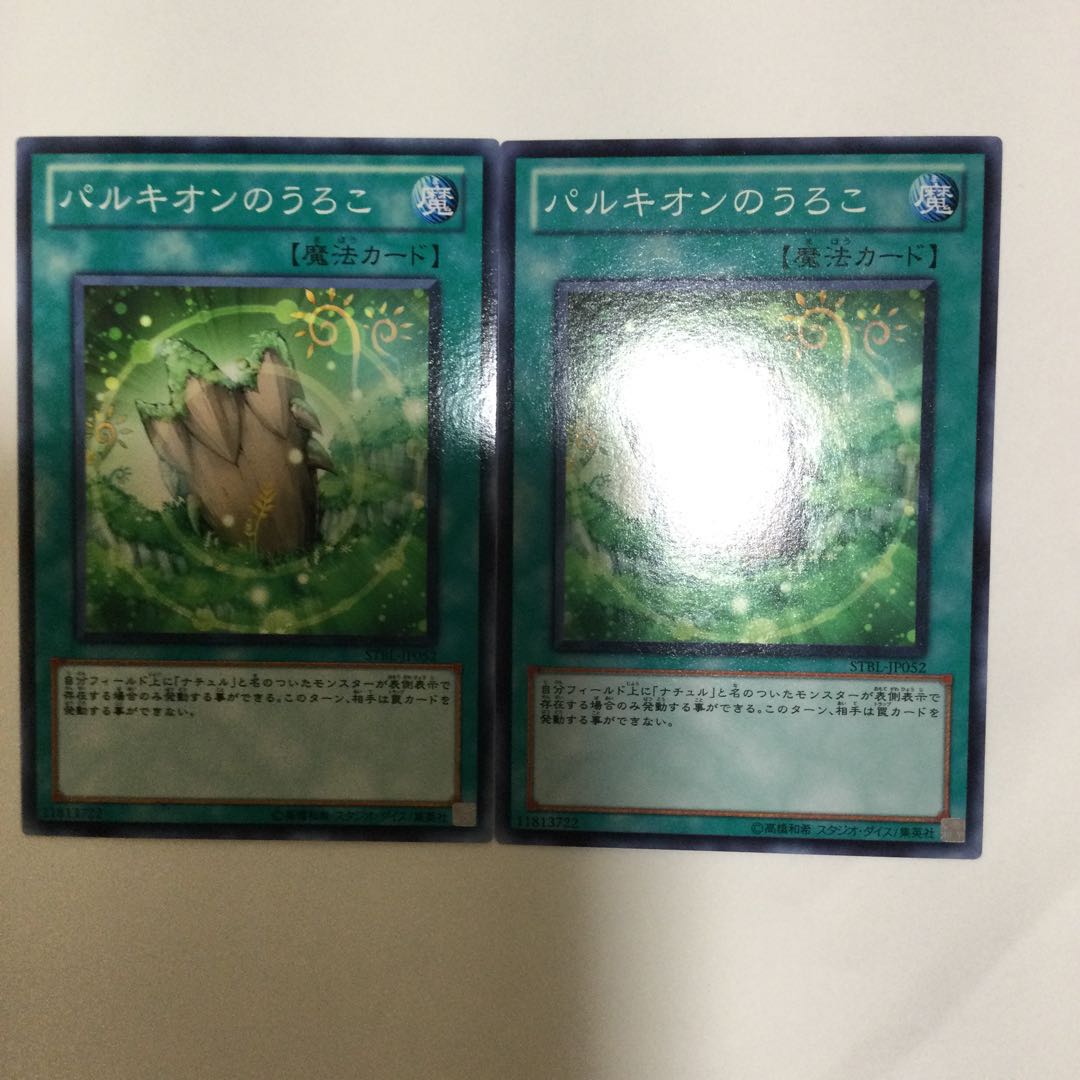 パルキオンのうろこ 2枚