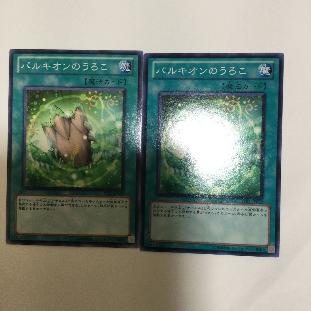 パルキオンのうろこ　２枚