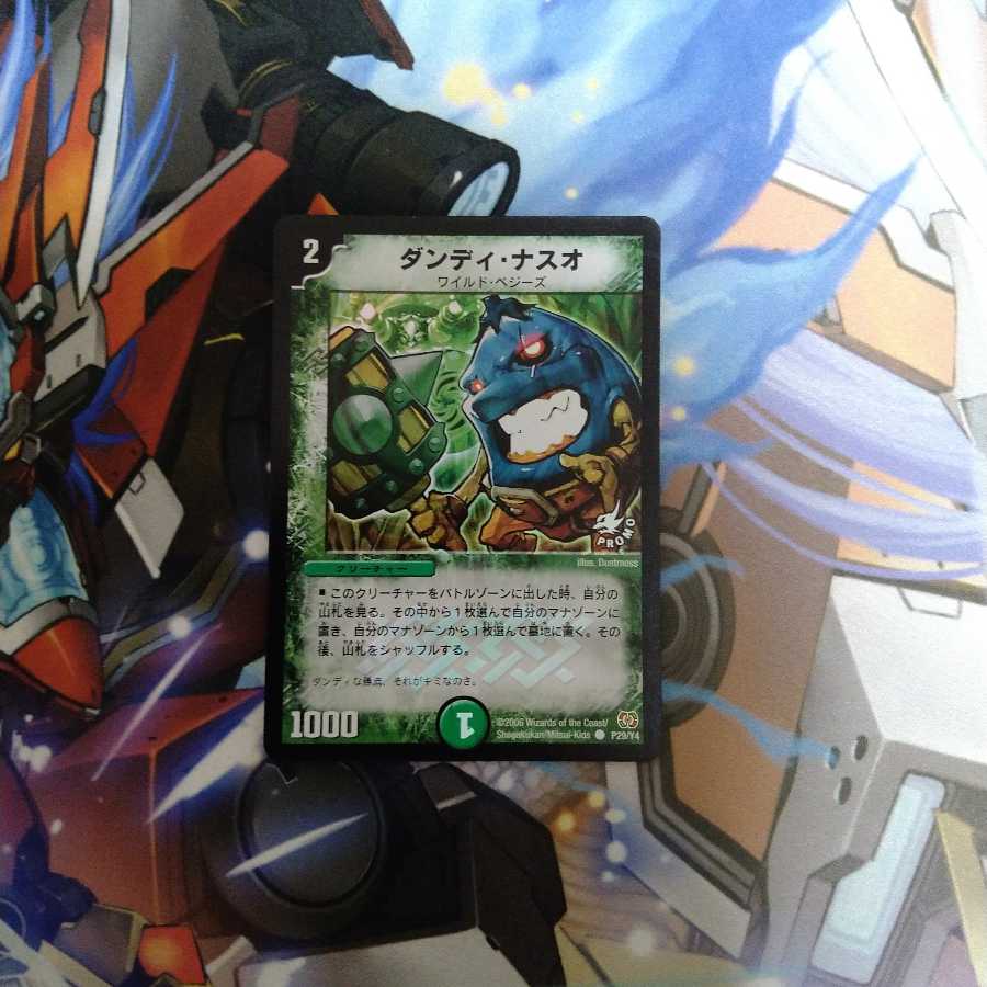 ダンディ・ナスオ C-foil