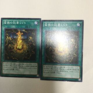 蛮族の狂宴LV5 ２枚 1枚