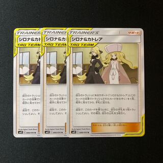 シロナ&カトレア3枚セット