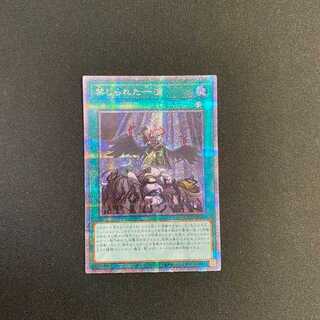 禁じられた一滴　プリシク