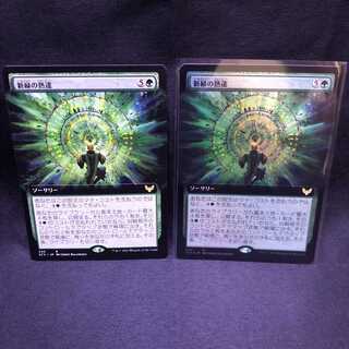 MTG ストリクスヘイヴン 魔法学院 新緑の熟達