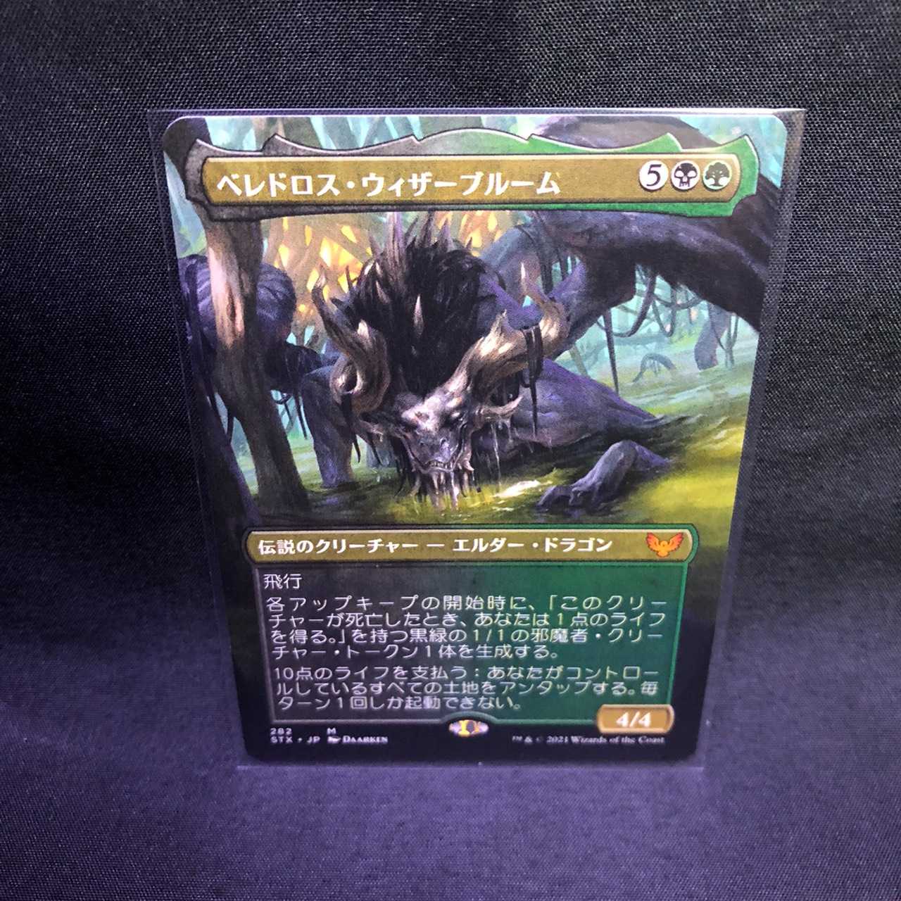 MTG ストリクスヘイヴン 魔法学院 ベレドロス・ウィザーブルーム
