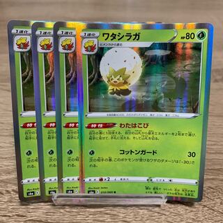 ワタシラガ　レア　わたはこび　4枚