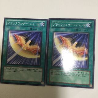 ブラックフェザー・シュート　２枚