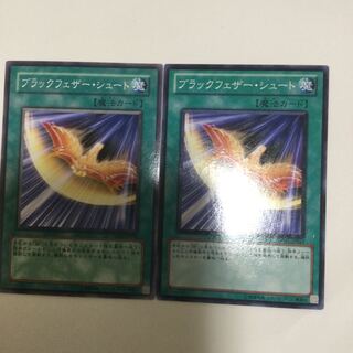 ブラックフェザー・シュート　２枚