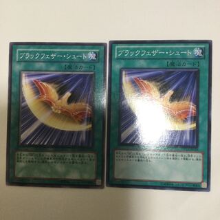 ブラックフェザー・シュート　２枚