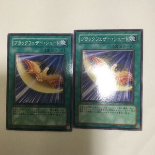 ブラックフェザー・シュート　２枚