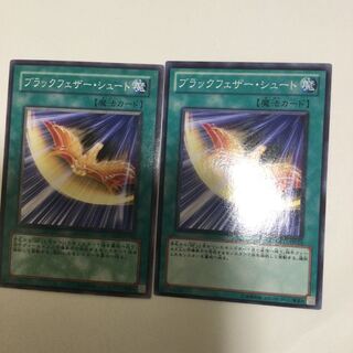 ブラックフェザー・シュート　２枚