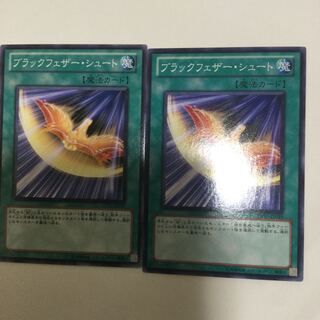 ブラックフェザー・シュート　２枚