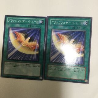 ブラックフェザー・シュート　２枚