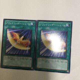 ブラックフェザー・シュート　２枚