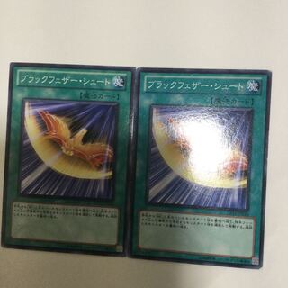 ブラックフェザー・シュート　２枚