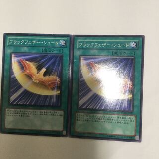 ブラックフェザー・シュート　２枚