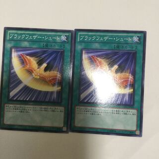 ブラックフェザー・シュート　２枚