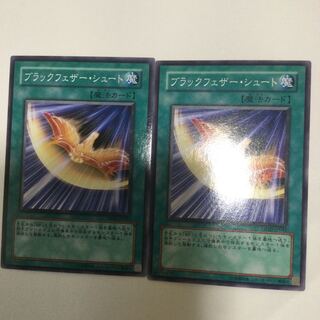 ブラックフェザー・シュート　２枚