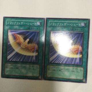 ブラックフェザー・シュート　２枚