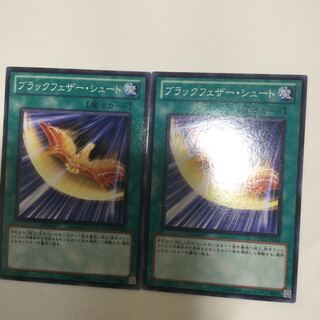 ブラックフェザー・シュート　２枚