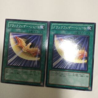 ブラックフェザー・シュート　２枚