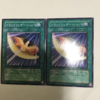 ブラックフェザー・シュート　２枚