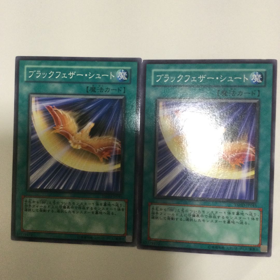 ブラックフェザー・シュート　２枚