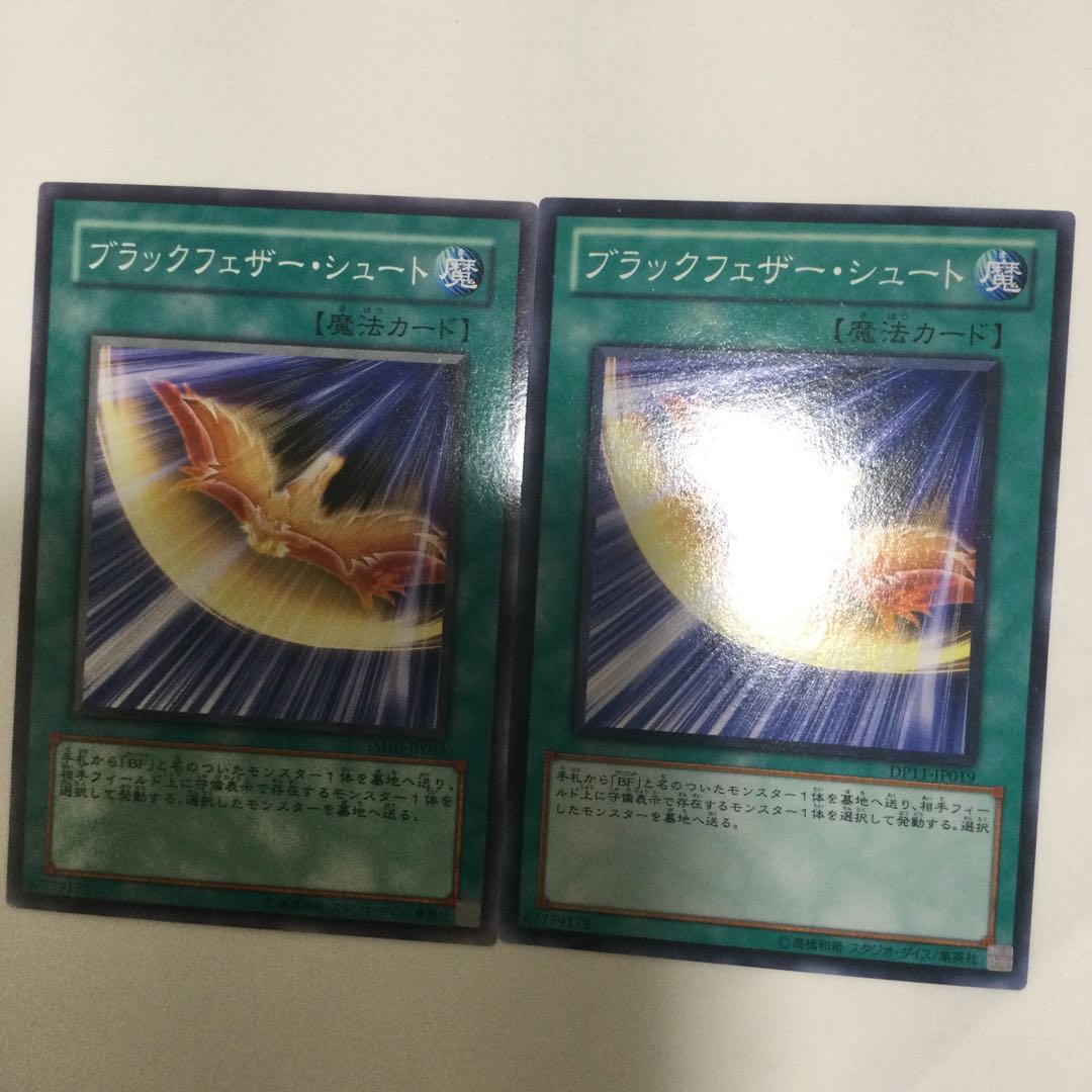 ブラックフェザー・シュート　２枚