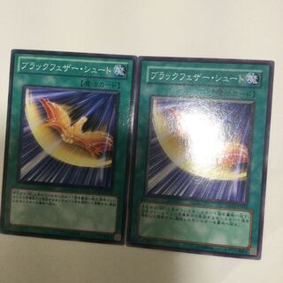 ブラックフェザー・シュート　２枚