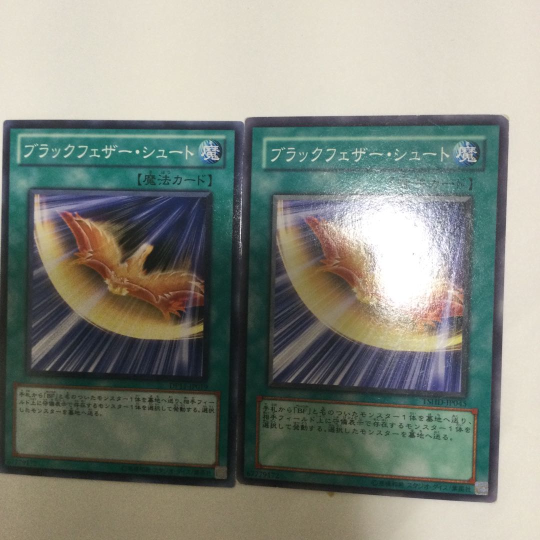 ブラックフェザー・シュート 2枚