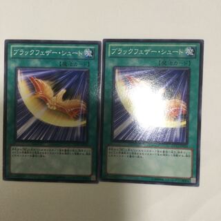 ブラックフェザー・シュート　２枚