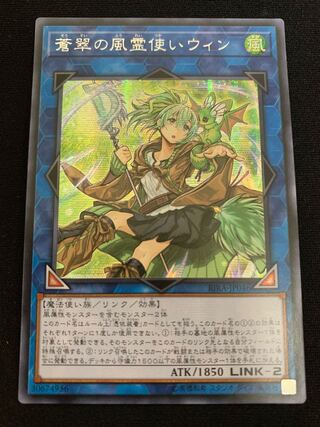 蒼翠の風霊使いウィン アジア