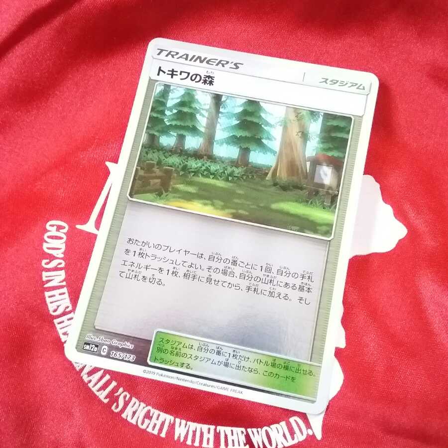 トキワの森(キラ)