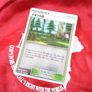 トキワの森(キラ)