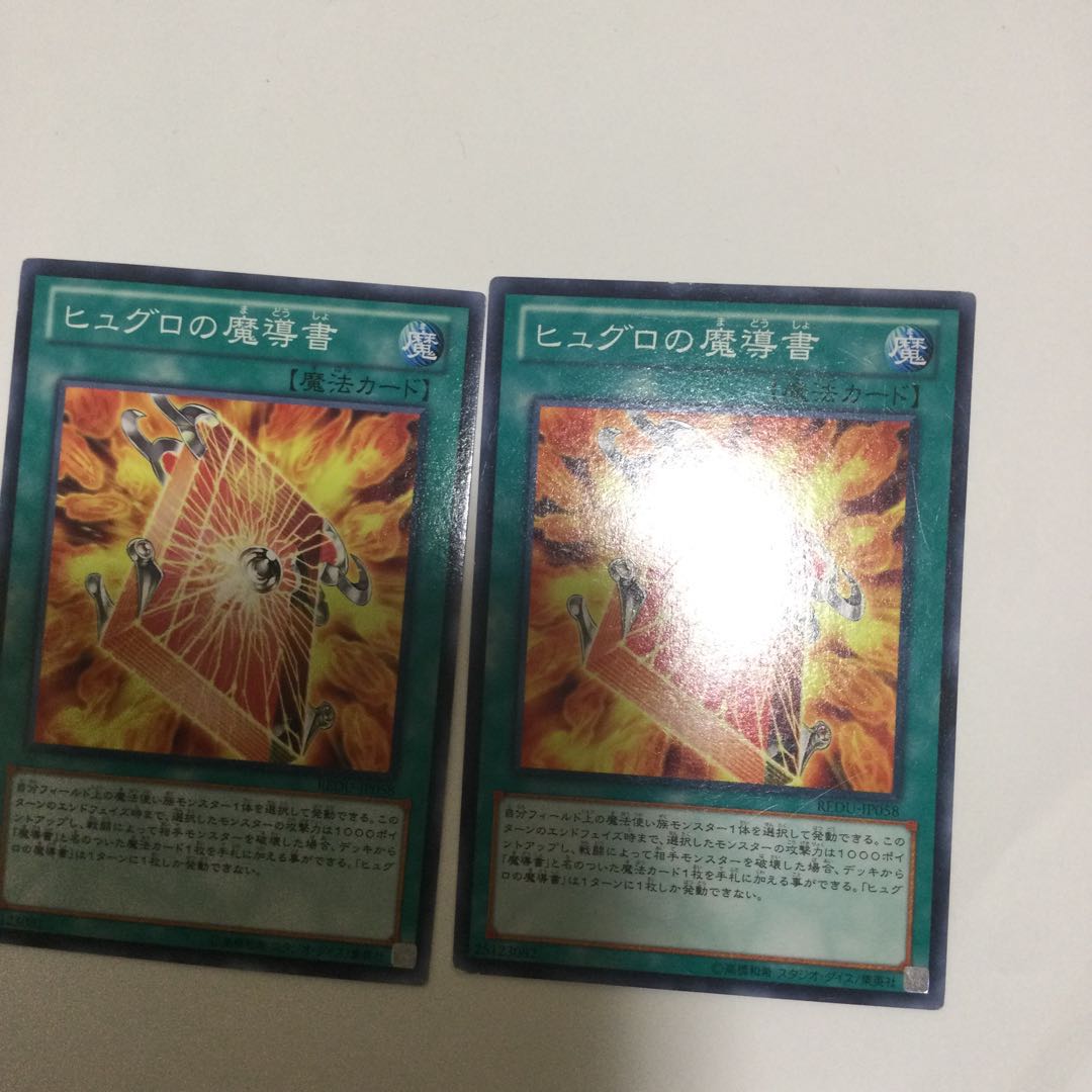 ヒュグロの魔導書 2枚